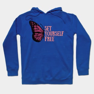 set yourself free butterfly 1 Hoodie